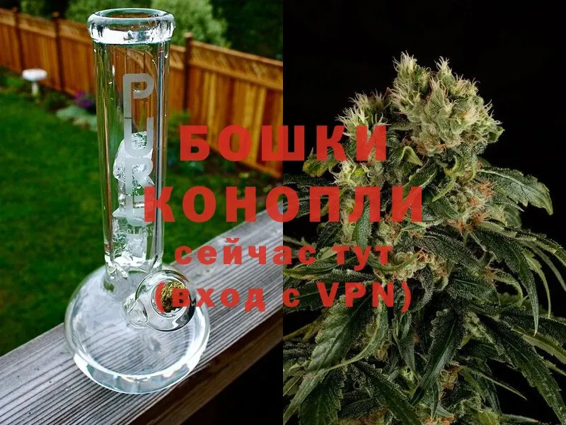 купить наркоту  Болотное  Шишки марихуана White Widow 